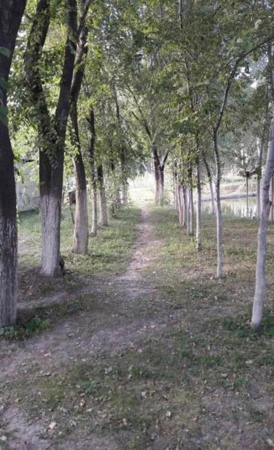 Чистые Пруды Bishkek Exterior photo