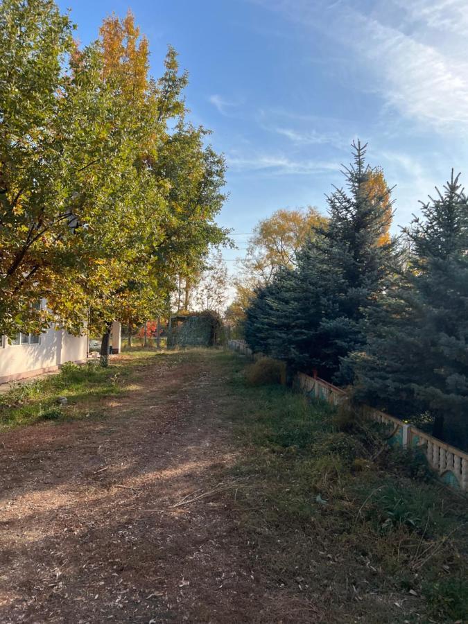 Чистые Пруды Bishkek Exterior photo