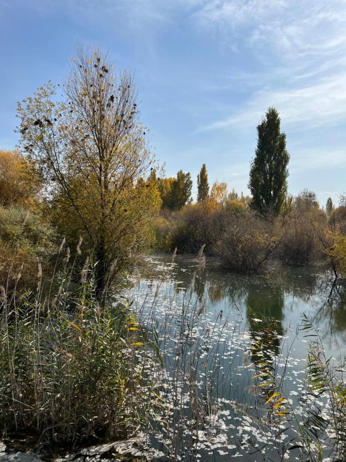 Чистые Пруды Bishkek Exterior photo