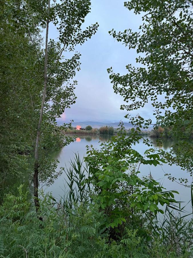 Чистые Пруды Bishkek Exterior photo